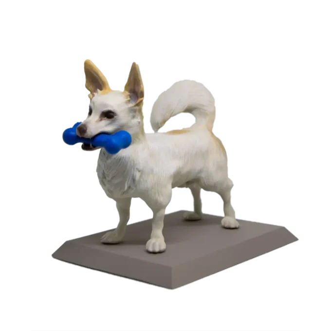 3D Фигура на Куче по Снимка