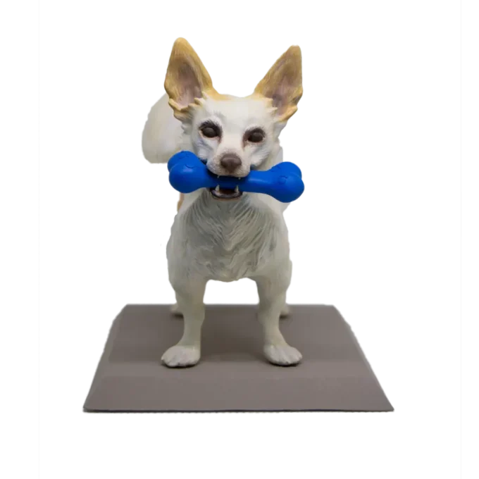 3D Фигура на Куче по Снимка